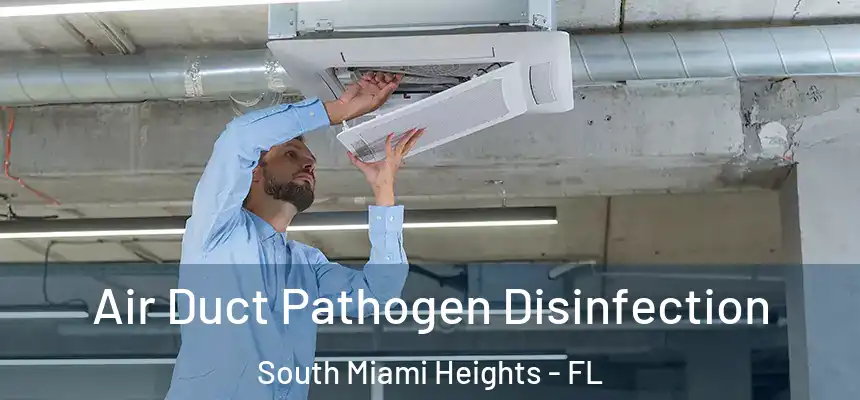 Air Duct Pathogen Disinfection South Miami Heights - FL
